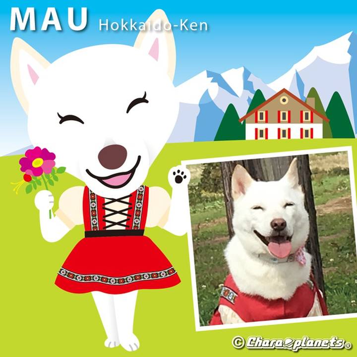 503f4ac9 672a 4205 8d2e 600608338195 1560739515580