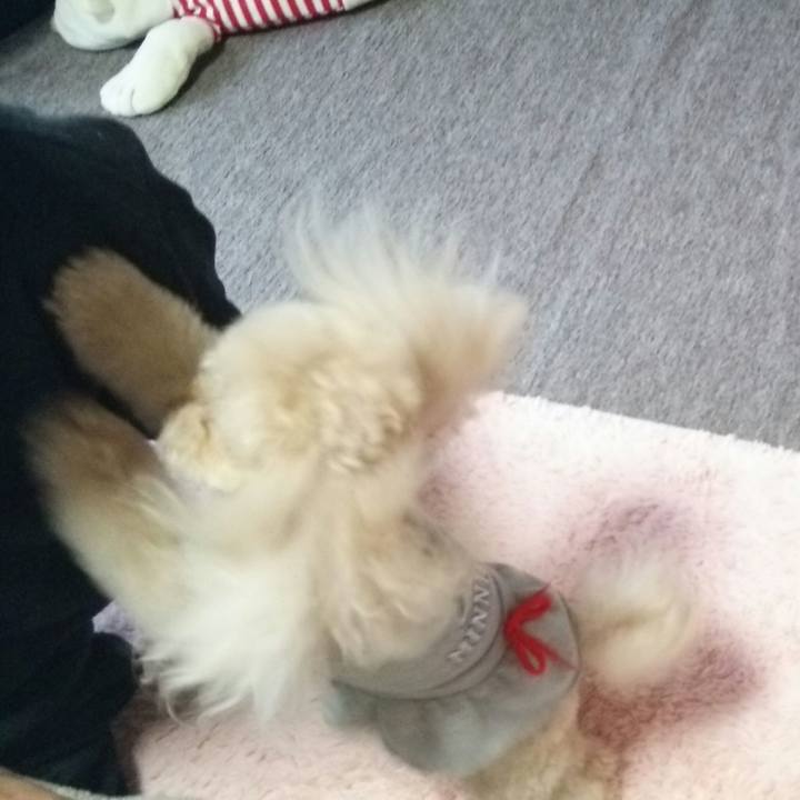 503f5b0d a069 4f27 9aac 4f61a2c2b522 1521974606995