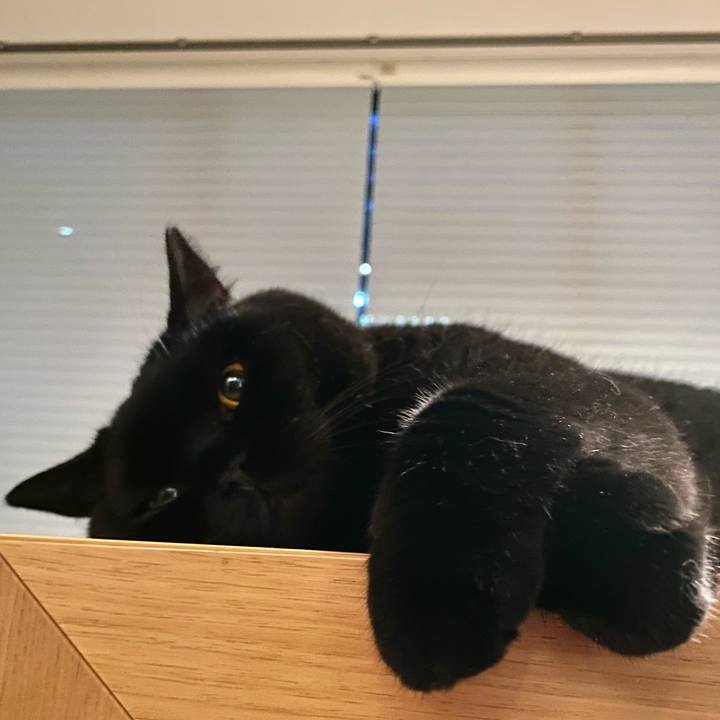 503f6c98 566e 4b41 89e2 c02444e2c239 1693056378528