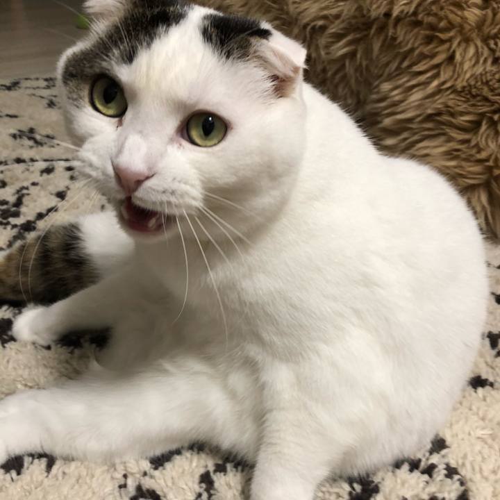 503fd94f c096 4e2e 87f5 d1fd47982841 1580390761676