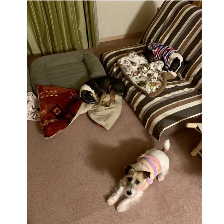 503fdd57 4d35 4aef 9ae4 a570384e19cc 1610795729927