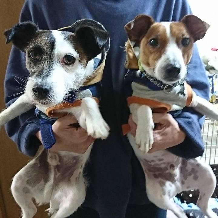 504008d1 61f0 4fc9 b467 3dec460af717 1555020658520