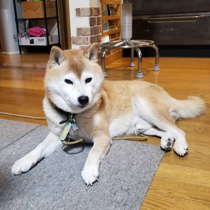 504013c5 274b 492d 87b0 26f52ab0c630 1701040304673