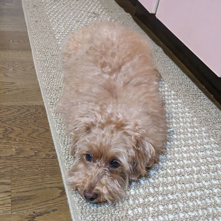 5040183e 486d 4a33 b7bd 790c1358fcac 1715332606681