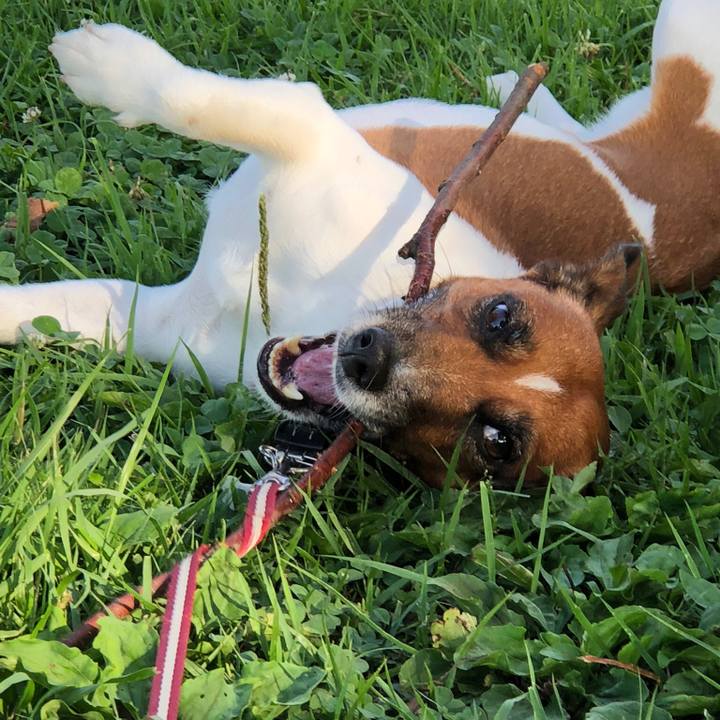 50405c28 41e6 4a1d 9087 6b9f60a681df 1532990707820