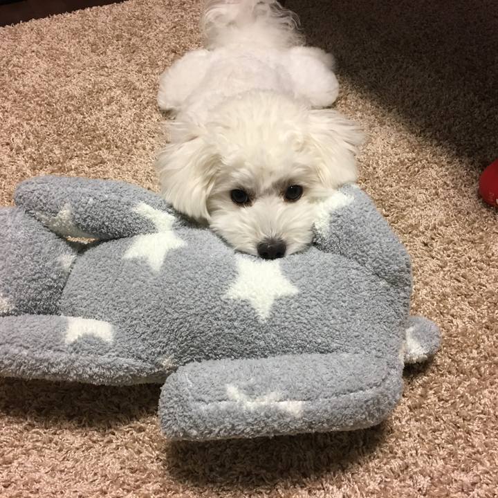 50407eb4 12b7 4e47 9304 b74c682d3a96 1510389256900