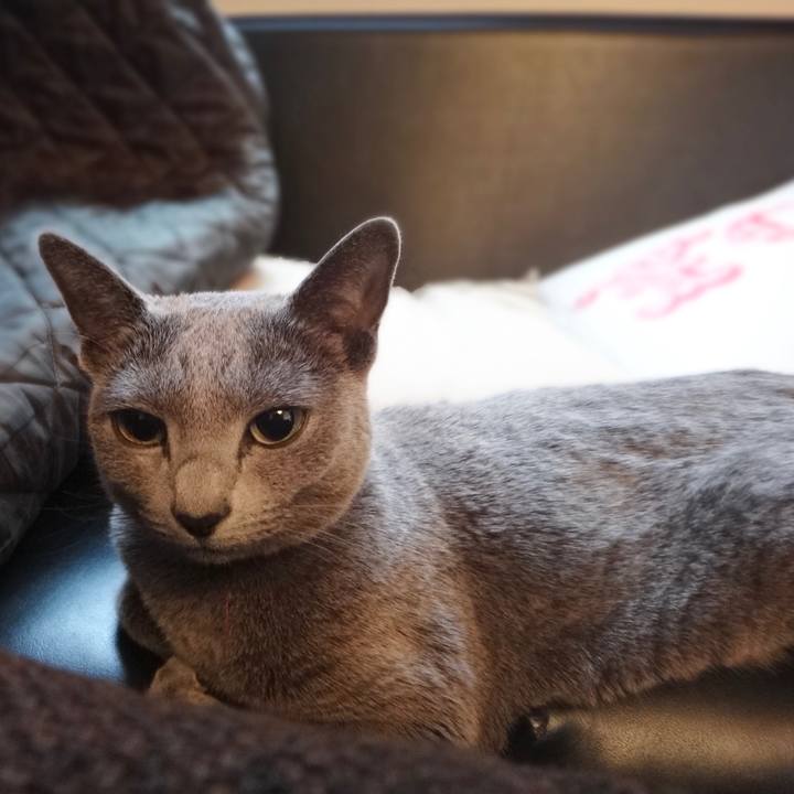 50408860 5ef3 4326 999f 28b6d1663836 1583907386459