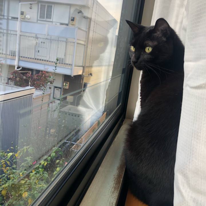 50408a4f a127 4fb2 852f 006b7f12be24 1603668159217