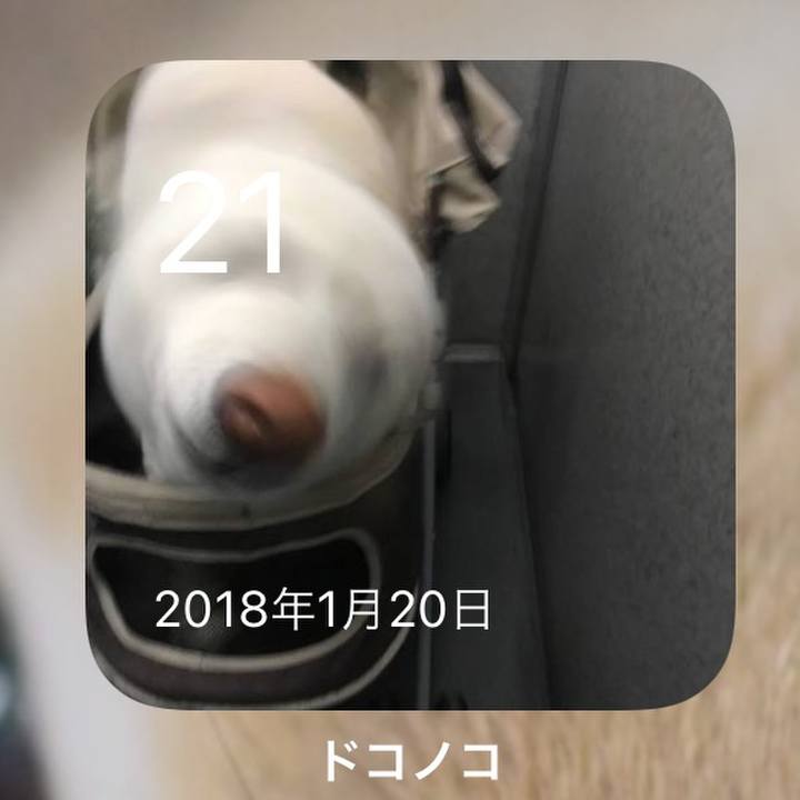 50409f1d a244 475d a8b4 d514830f803c 1642727438623