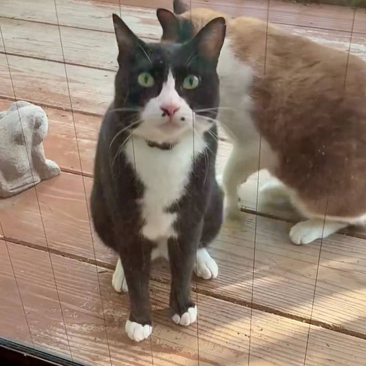 5040acf2 9d8d 4ff8 b139 ca3cc060bc9a 1756894012510