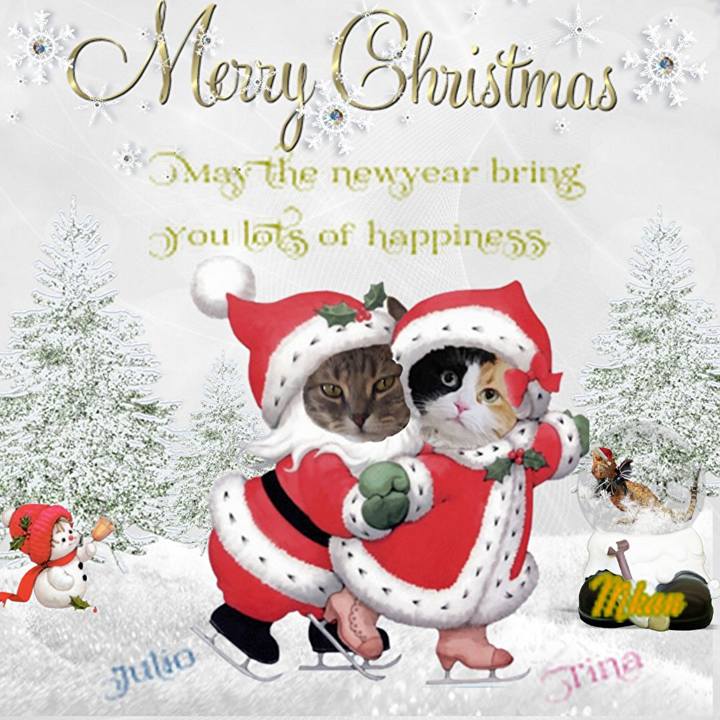 5040b1ac 2c44 4f61 80e1 ec1cd50ee96f 1703374012643