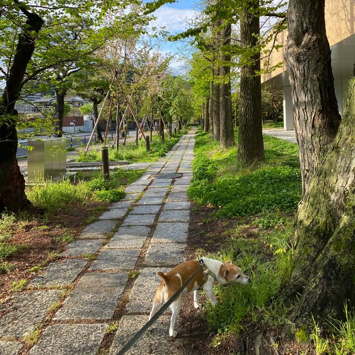 5040e4cb 1b73 4ffb 84ff 306af0265245 1618457575650