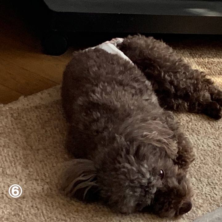 50411ac7 45e4 41f1 9add 3fb70b4fd9ea 1568785034981