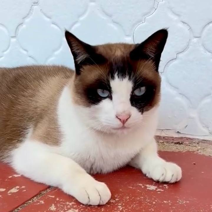 50411ca1 366d 425e a5ca e5603e0e46d6 1749005433634