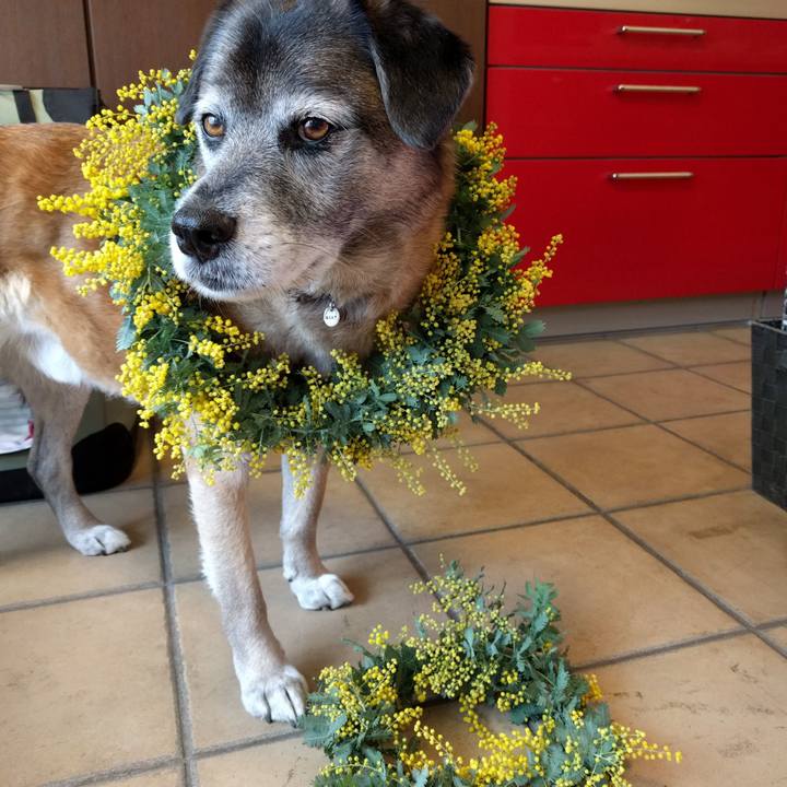 50416549 052b 48aa 855c 59f0a0cfea5e 1520387531885