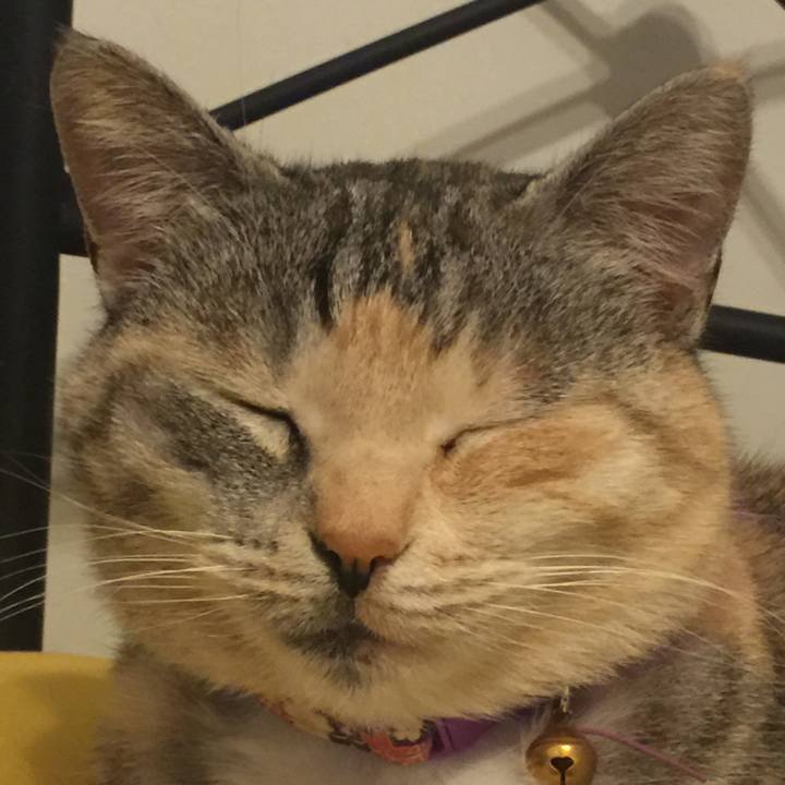 50416b79 2c44 42f8 83bb de6f04f4e3c7 1556019873524