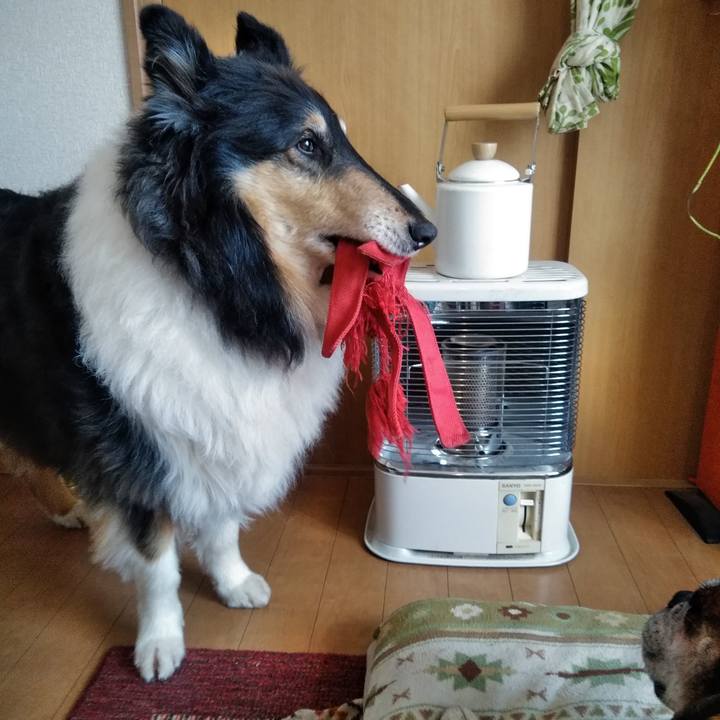 5041c1bf bf9b 4e71 9557 71b824ef8ea8 1519475104356