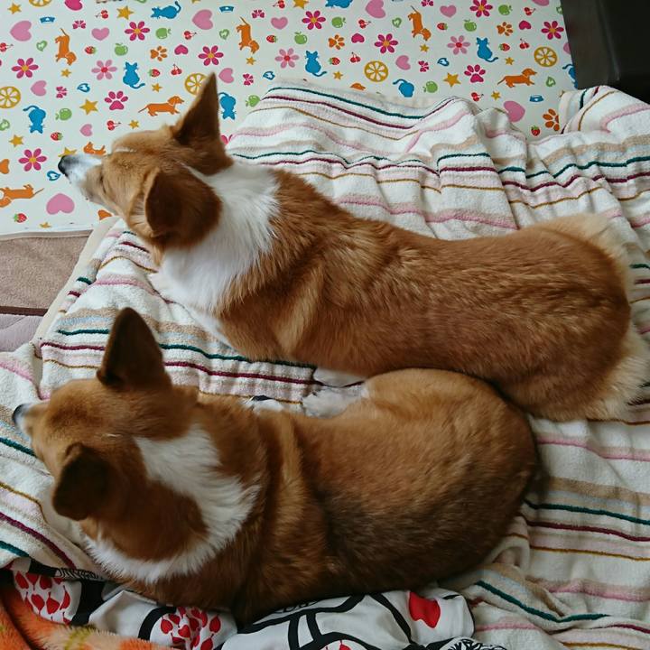 5041c1eb cba9 4cd1 a6bf 4418c5902569 1516925003706