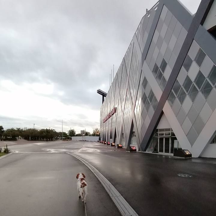 5041cf5c 082f 4af7 9fdf 4e5749fe92d1 1572003732029