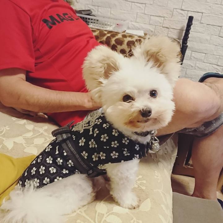 5042028e 8c08 49c8 aebc 61382cb12487 1535370783908