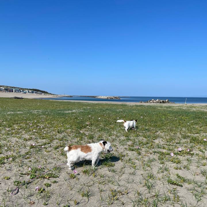 5042432c cecd 480d b837 d3d2ed1a0fa4 1653439284357