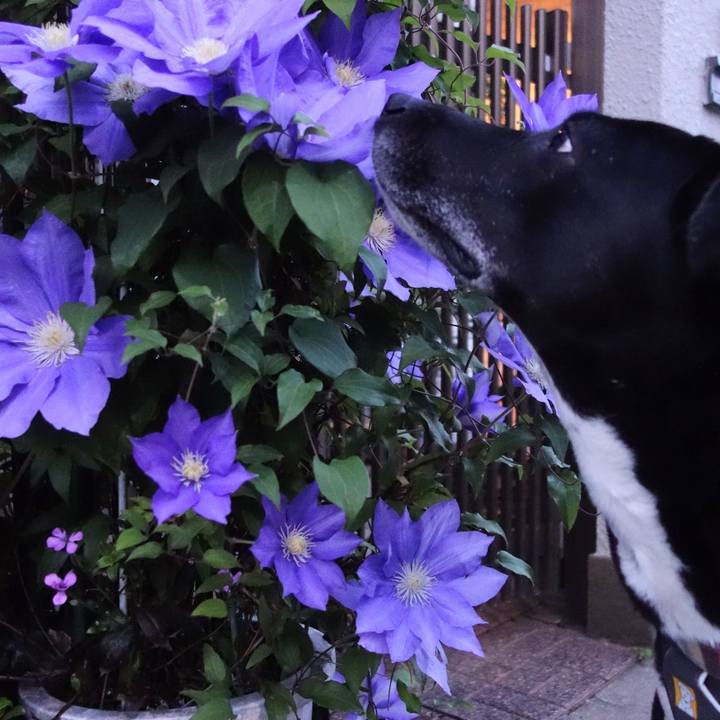 50424693 2460 461b a144 2f797a66137a 1651315336606