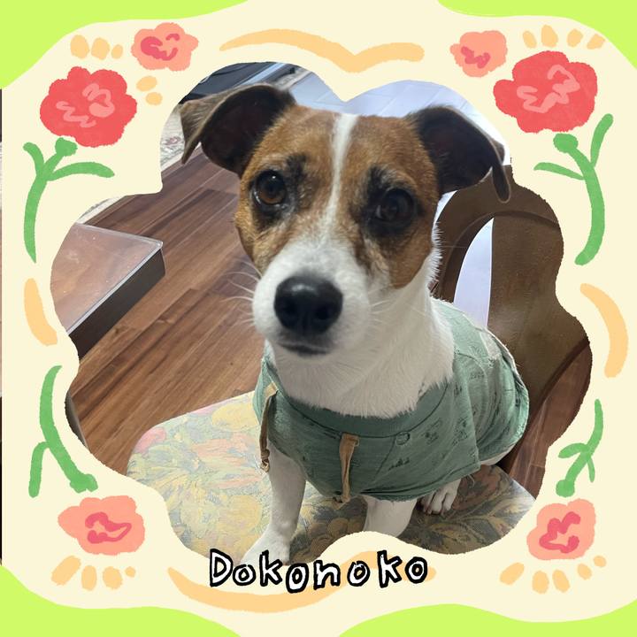 50425e8b 076d 45ef a70c 5a69bb17e6ed 1715496896071