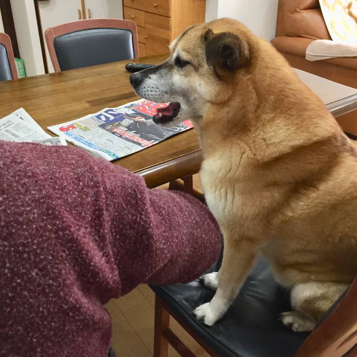 50428427 af24 4195 948a 0ec9347055d3 1585873038893