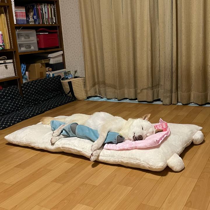 50429eb1 86d5 4323 a5fd 51910a80c345 1662042421360