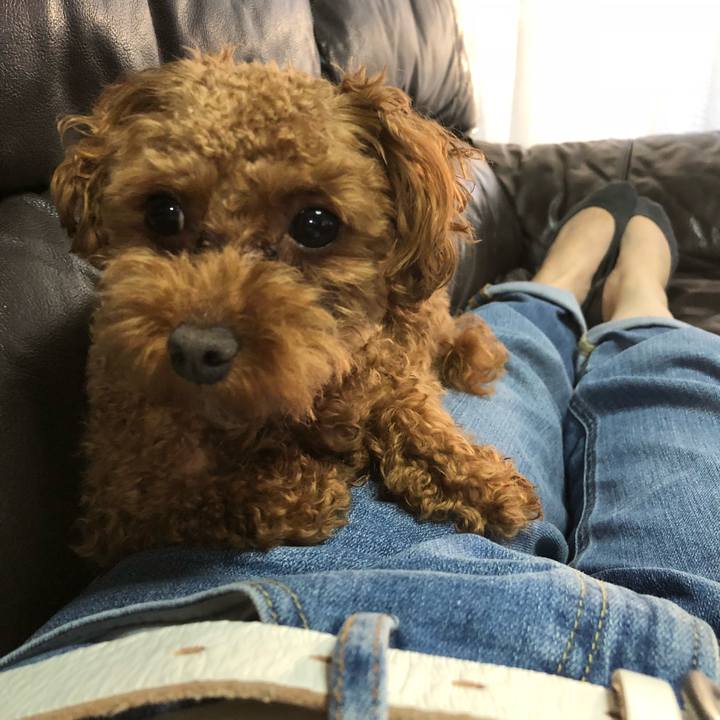 5042c8b9 808c 4cf8 bd15 03b0d193c953 1526720681028