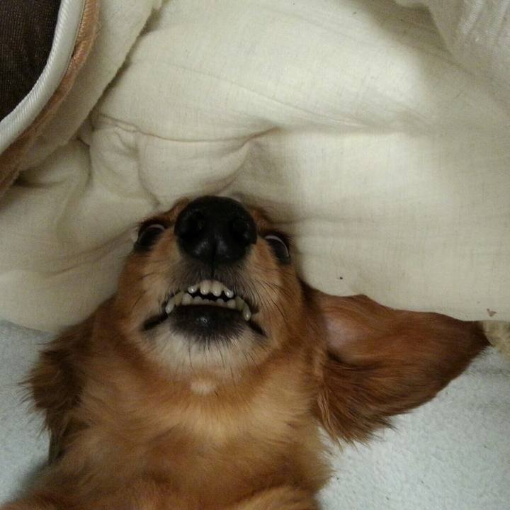 5042ed0a 2fb9 4124 bbff 9d8c4df023aa 1519460348068