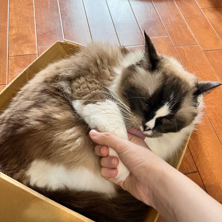 5042eeff ed91 4625 970d cee2ecf27e18 1660465769078