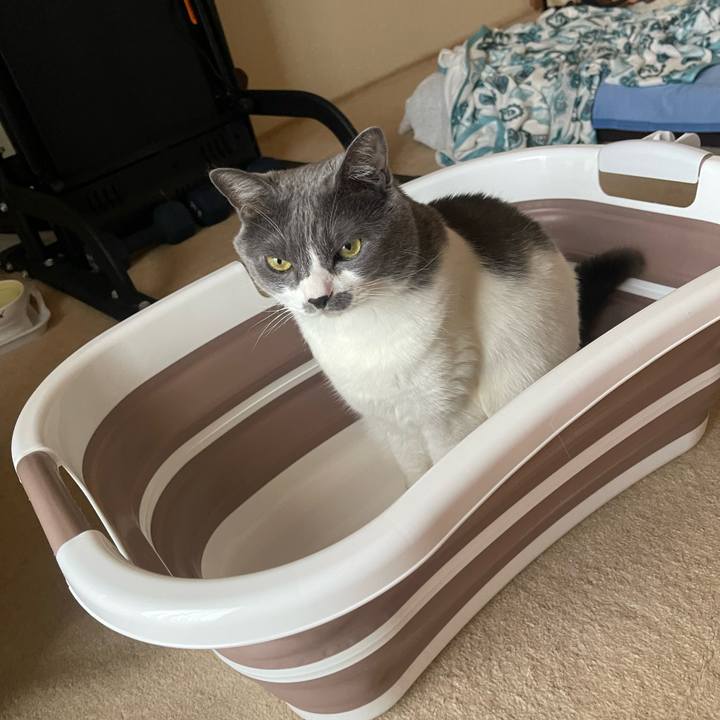 5042f10d b575 41df 980b 5a5b36e5a745 1752308450905