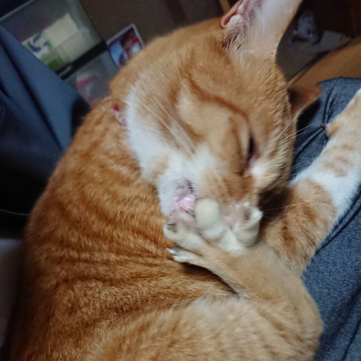 5042fc21 25bd 4826 aa14 5f85cee4a1b0 1602539930521