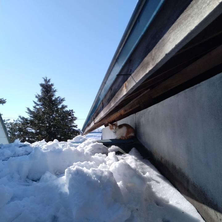 50433660 9818 4485 aa0c b4f56666ce79 1739598625276