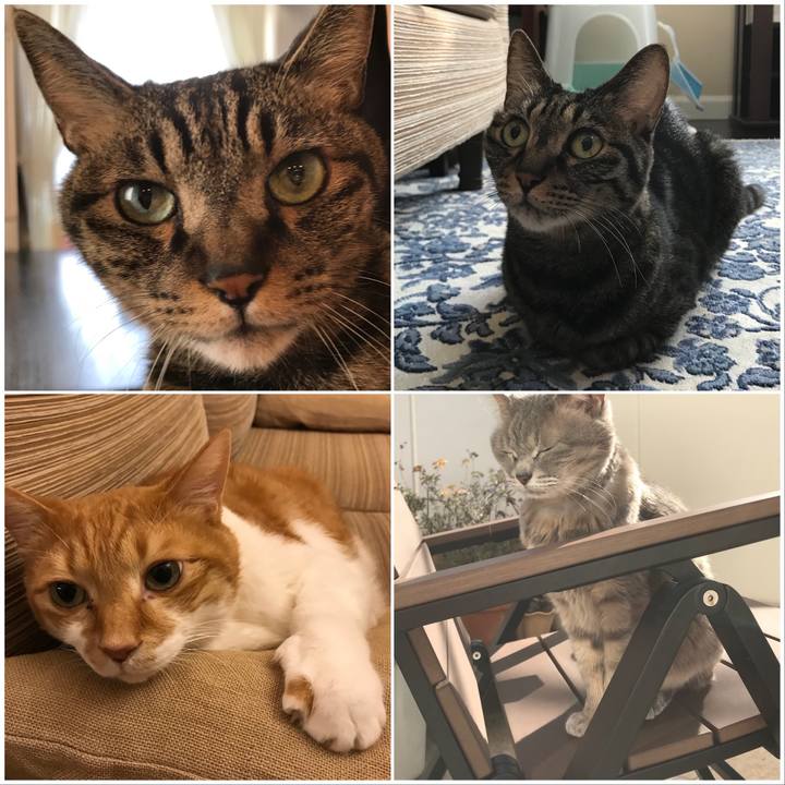 50433fc7 0531 4a07 9e2f f1e04dffceeb 1578915741820