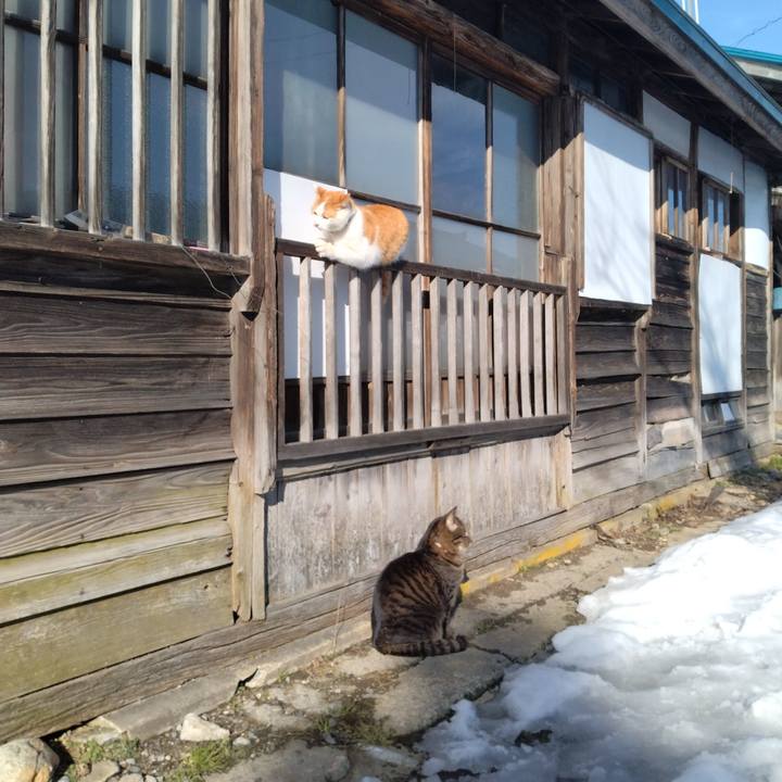 50435331 8162 4ef8 932b f3d17dea89f9 1771653065121