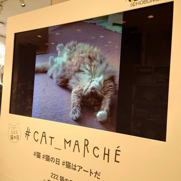 50436057 2712 4573 b136 bd1e1c71da40 1760711899678