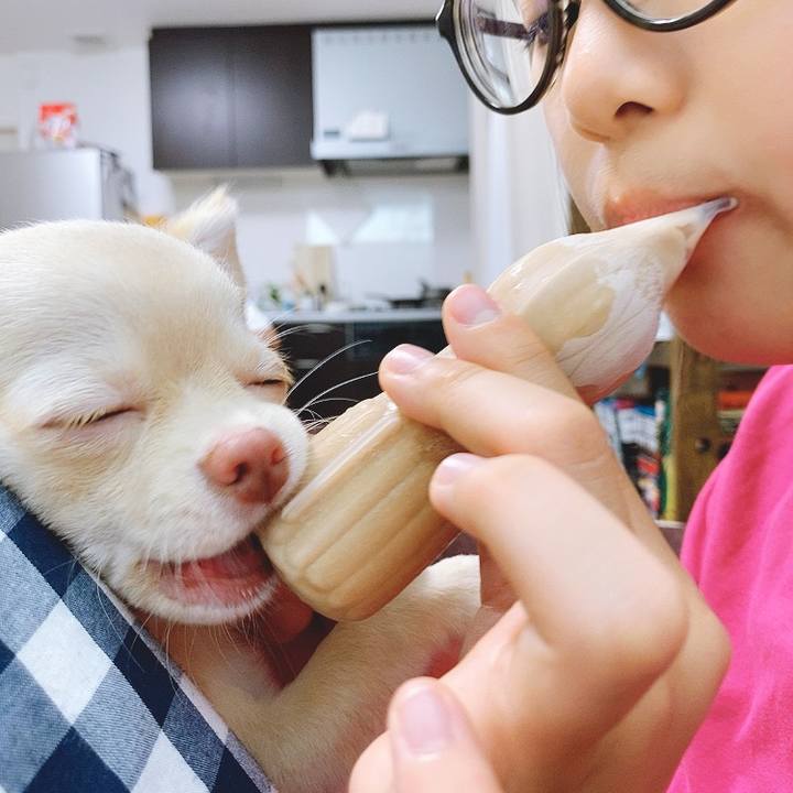 5043730a 19c1 4609 aa05 7af079dd3e18 1595043455728