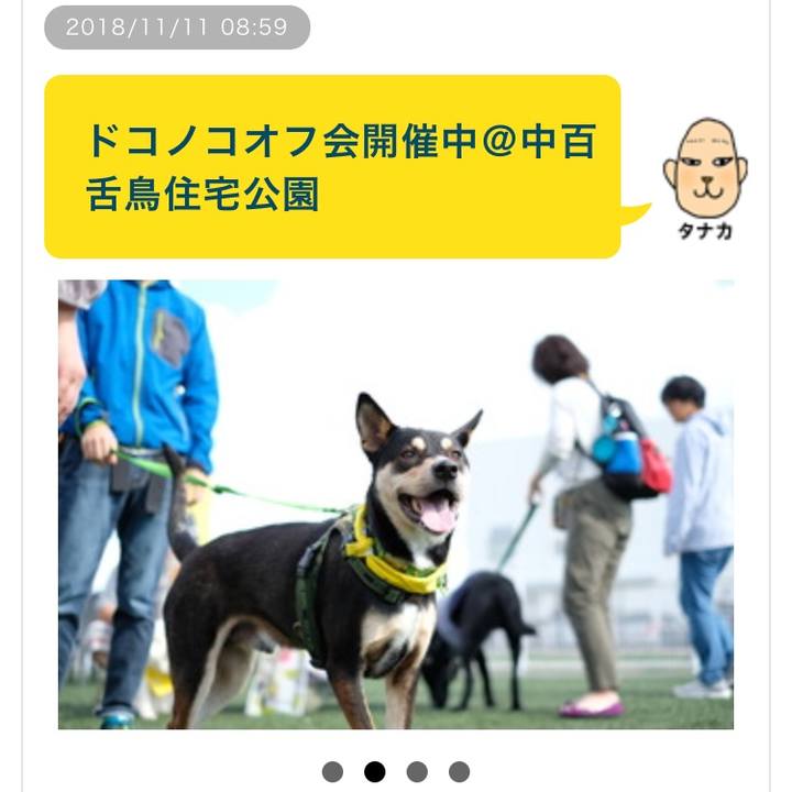 504378e8 7812 4103 948c 8f6aa634da38 1541898603146