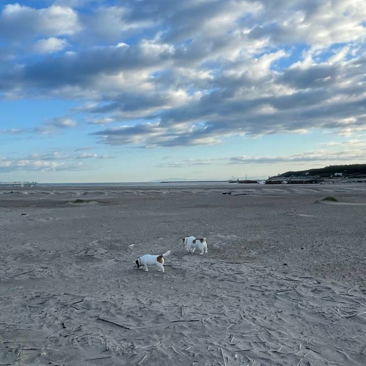 5043898d c2db 4a27 be38 cedf41e55344 1761196090404