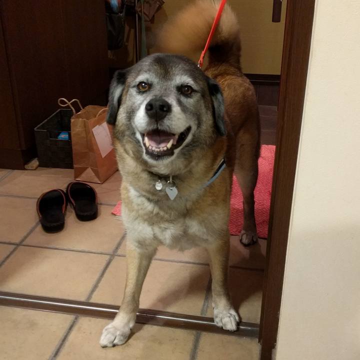 504392a0 cd89 4fc7 8bc0 b4f954279b39 1524828471571