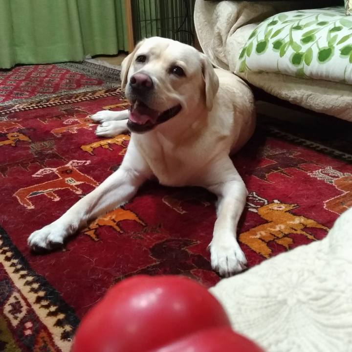 5043e63e 2165 4c09 8784 f06e393197c9 1539361871422