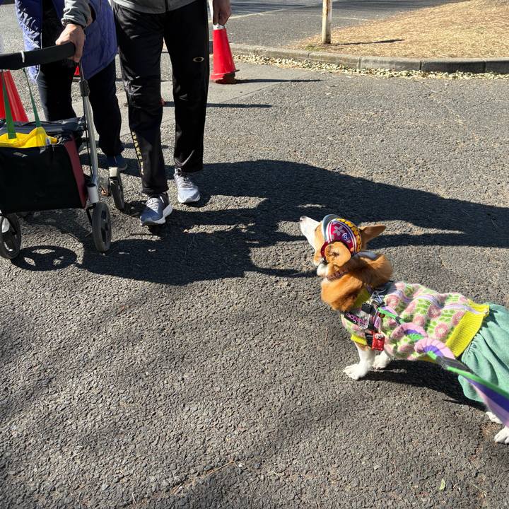 5043eab5 87cb 47f7 bdc2 82efa46f1599 1769919495043