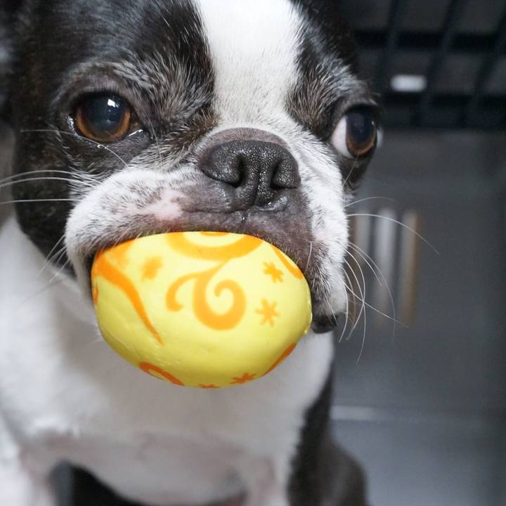 5043ece8 cb17 4ed5 b27d 020dabbc6a1e 1521635111658