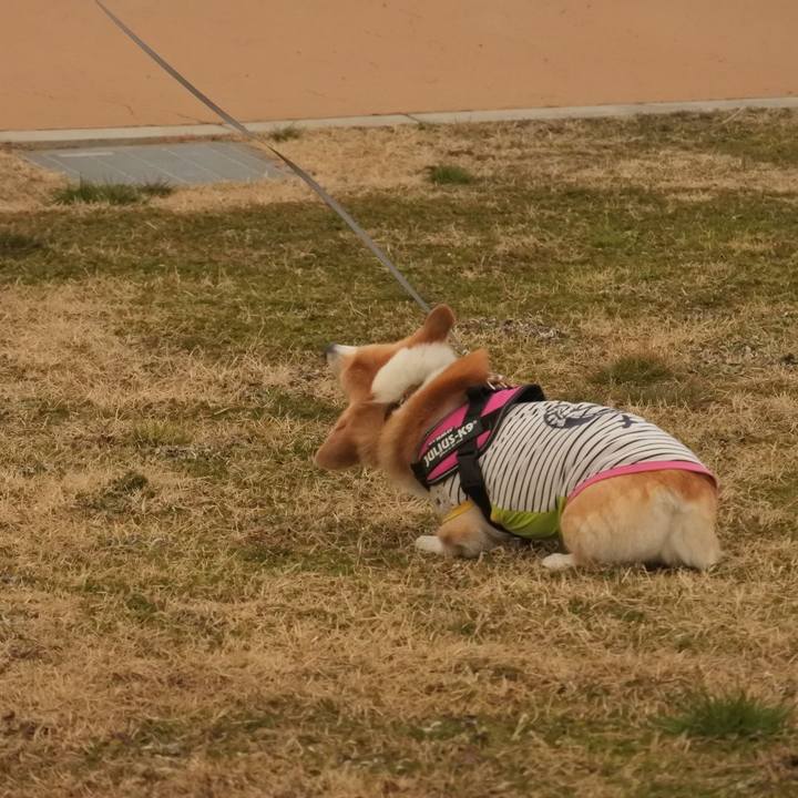 5043fa20 bccf 4b97 ac42 6a4daebe8925 1582373451018