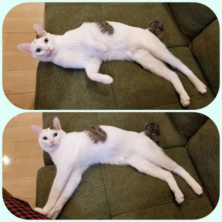 504441be 29fd 4079 a659 af996374d6f7 1545101728225