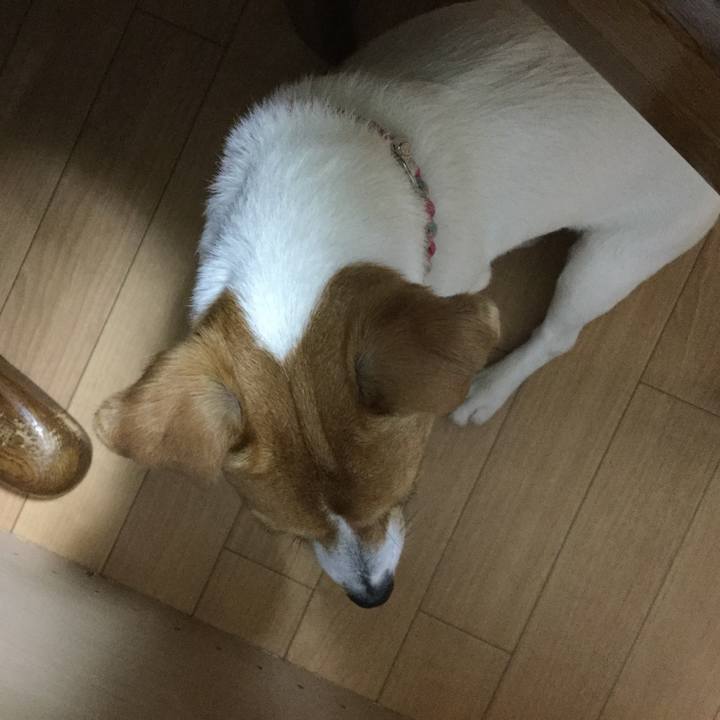 50444559 6522 4d86 b5ae 0d89a161d4d0 1524216879664