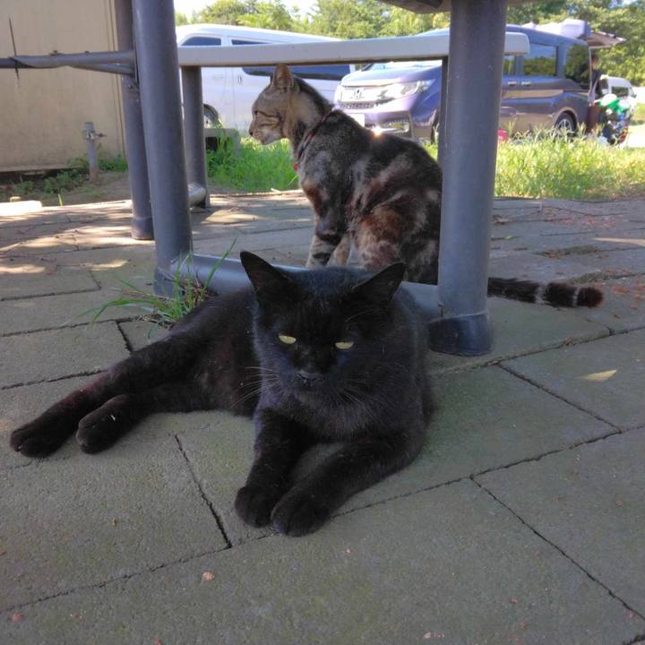 5044696e e68d 43d6 9a37 e19c9789fe78 1689552448915