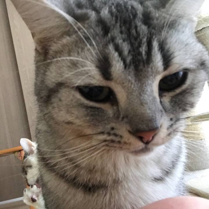 504480b1 384e 4ca5 bce9 afc7d132c003 1515889330360